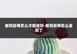 断奶后悔怎么才能追奶-断奶后悔怎么追奶了
