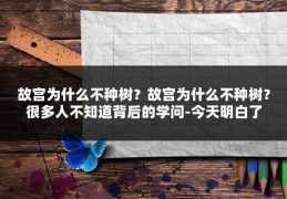 故宫为什么不种树？故宫为什么不种树？很多人不知道背后的学问-今天明白了