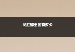 吴胜楠全国有多少