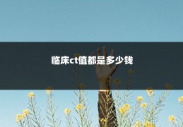 临床ct值都是多少钱