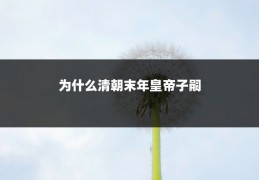 为什么清朝末年皇帝子嗣