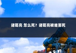 诸葛亮 怎么死?诸葛亮被谁害死