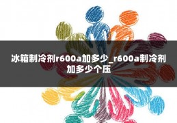 冰箱制冷剂r600a加多少_r600a制冷剂加多少个压