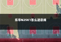 乐华N25K1怎么进总线