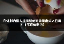 在体制内没人提携就绝对永无出头之日吗？（不在体制内）