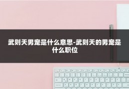 武则天男宠是什么意思-武则天的男宠是什么职位