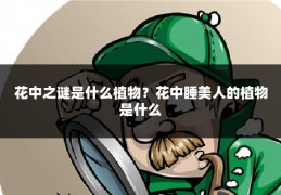 花中之谜是什么植物？花中睡美人的植物是什么