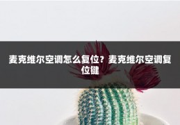 麦克维尔空调怎么复位?麦克维尔空调复位键
