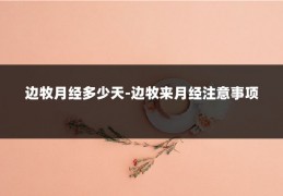 边牧月经多少天-边牧来月经注意事项