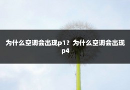 为什么空调会出现p1?为什么空调会出现p4