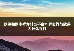 欧弟和罗志祥为什么不合？罗志祥与欧弟为什么互打