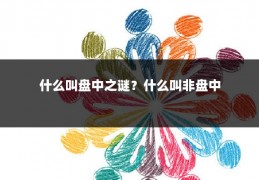 什么叫盘中之谜？什么叫非盘中