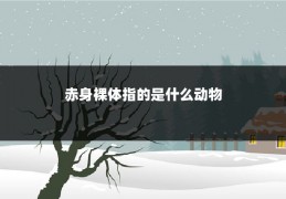 赤身裸体指的是什么动物