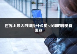 世界上最大的狗是什么狗-小狗的种类有哪些