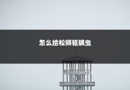 怎么给松狮驱螨虫