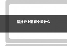 壁挂炉上面有个吸什么
