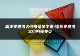 真正罗威纳犬价格是多少钱-德系罗威纳犬价格是多少