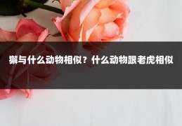獬与什么动物相似?什么动物跟老虎相似