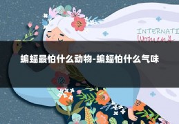 蝙蝠最怕什么动物-蝙蝠怕什么气味