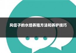 风信子的水培养殖方法和养护技巧