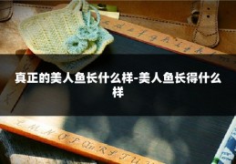 真正的美人鱼长什么样-美人鱼长得什么样
