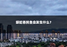 蟒蛇吞鳄鱼会发生什么？