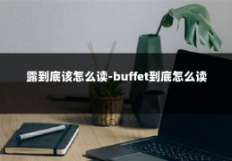 露到底该怎么读-buffet到底怎么读