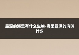 最深的海里有什么生物-海里最深的沟叫什么