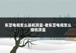 东芝电视怎么连机顶盒-老东芝电视怎么接机顶盒