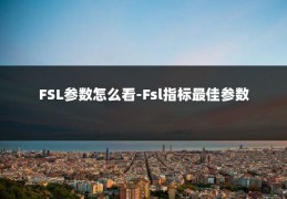 FSL参数怎么看-Fsl指标最佳参数