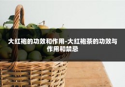 大红袍的功效和作用-大红袍茶的功效与作用和禁忌