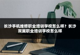 长沙手机维修职业培训学校怎么样?长沙双翼职业培训学校怎么样