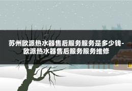 苏州欧派热水器售后服务服务是多少钱-欧派热水器售后服务服务维修
