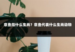 章鱼指什么生肖？章鱼代表什么生肖动物