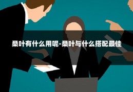 桑叶有什么用呢-桑叶与什么搭配最佳