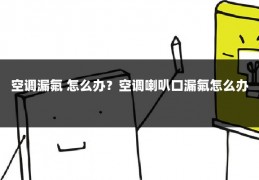 空调漏氟 怎么办？空调喇叭口漏氟怎么办