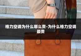 格力空调为什么哪么贵-为什么格力空调最贵