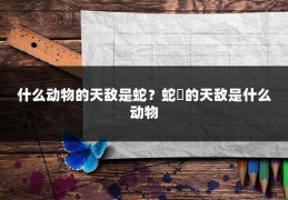 什么动物的天敌是蛇？蛇獴的天敌是什么动物