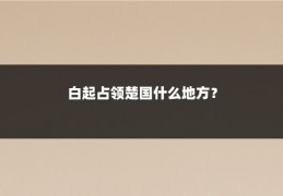 白起占领楚国什么地方？