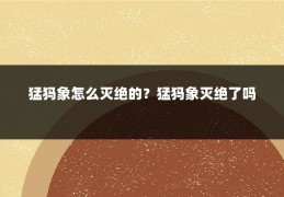 猛犸象怎么灭绝的？猛犸象灭绝了吗