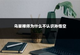 乌巢禅师为什么不认识孙悟空