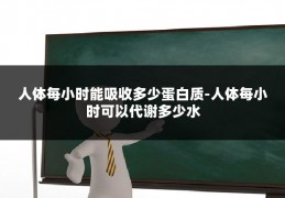 人体每小时能吸收多少蛋白质-人体每小时可以代谢多少水