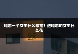 暗恋一个女生什么感觉？送暗恋的女生什么花
