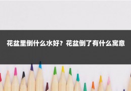 花盆里倒什么水好?花盆倒了有什么寓意