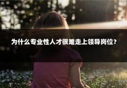 为什么专业性人才很难走上领导岗位？