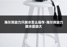 海尔双动力只脱水怎么操作-海尔双动力脱水震动大
