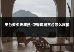 王台多少天成熟-中蜂成熟王台怎么移植