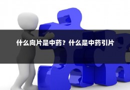 什么向片是中药？什么是中药引片