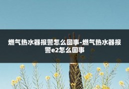 燃气热水器报警怎么回事-燃气热水器报警e2怎么回事