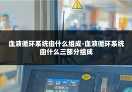 血液循环系统由什么组成-血液循环系统由什么三部分组成